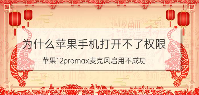 为什么苹果手机打开不了权限 苹果12promax麦克风启用不成功？